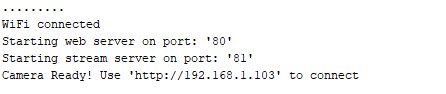 Camera Web Server Startup